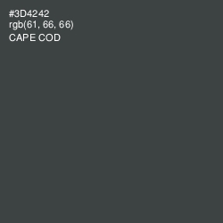 #3D4242 - Cape Cod Color Image